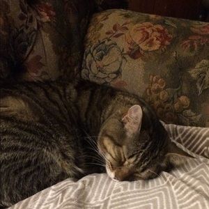 Meet your Posher, Jacqueline